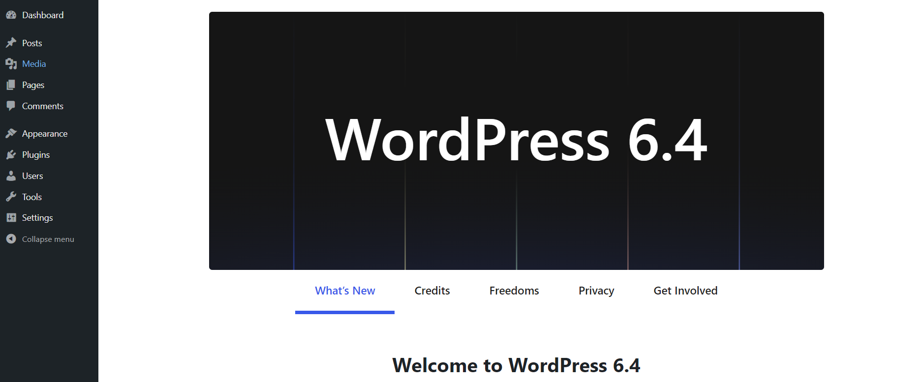 How Can I Test WordPress 6.4