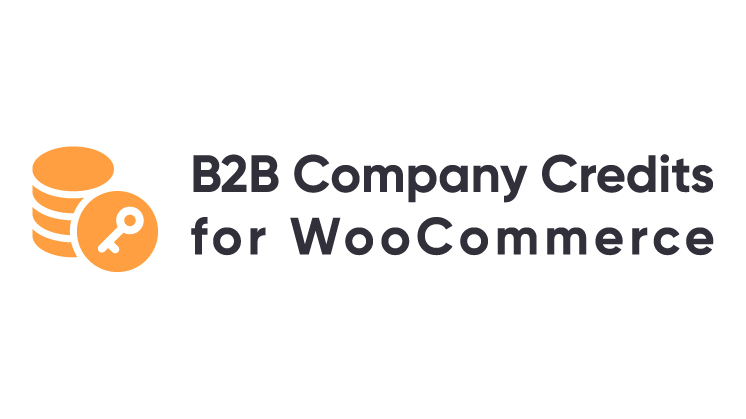B2B Company Credits and Permissions for WooCommerce