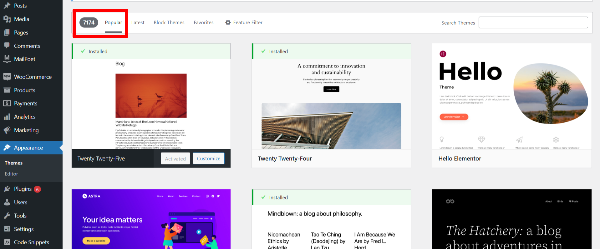  Customizing WordPress