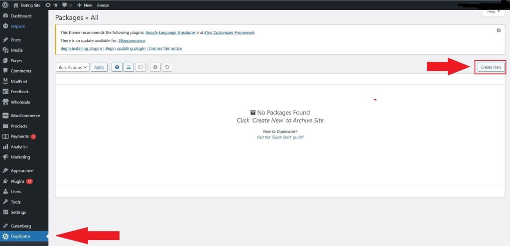 Duplicator plugin