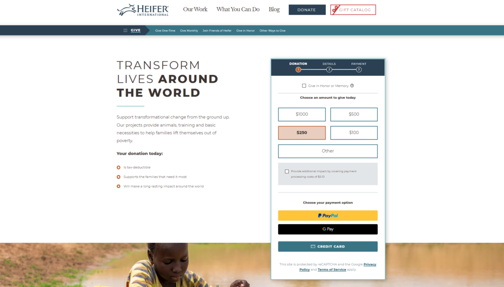 Heifer-International-1024x583