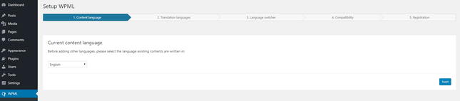 Setup WPML Plugin