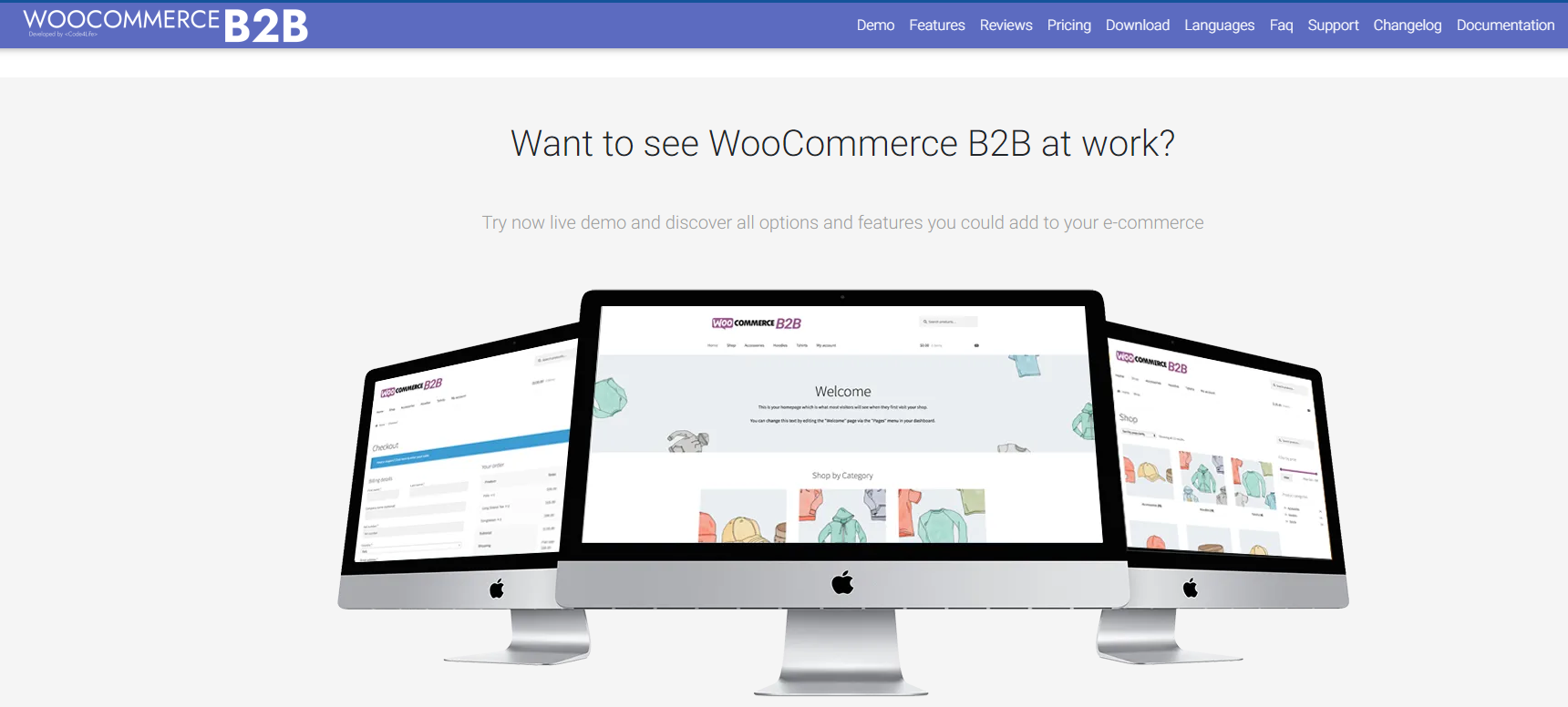 WooCommerce B2B