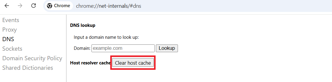 clear host cache using chrome net internals dns command to overcome the 304 not modified status code