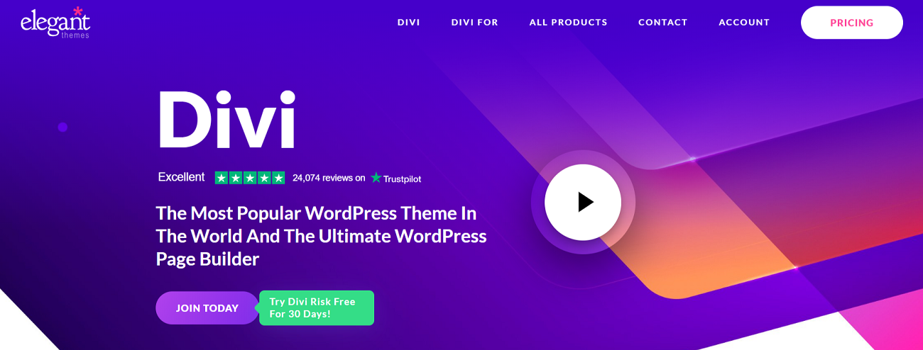 divi-theme-and-page-builder-homepage-view