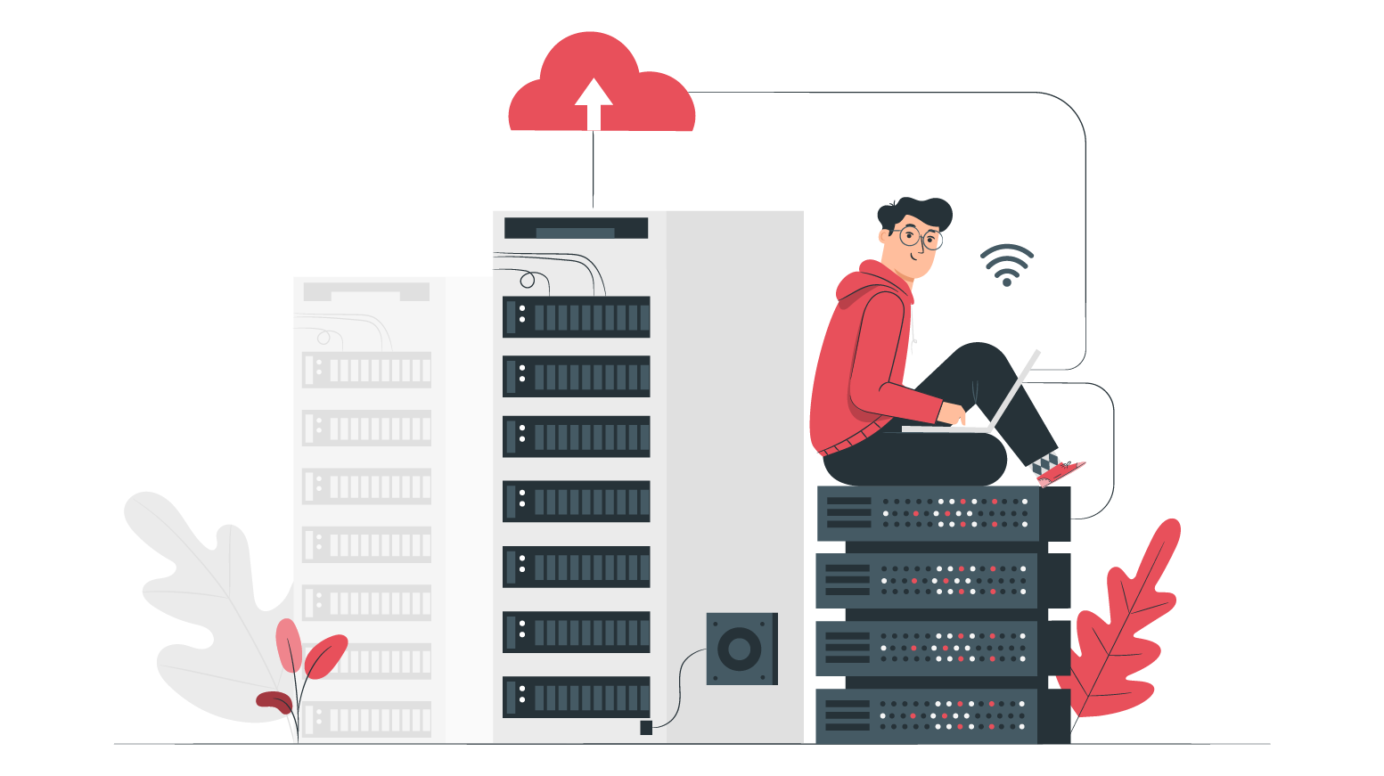 wordpress backup